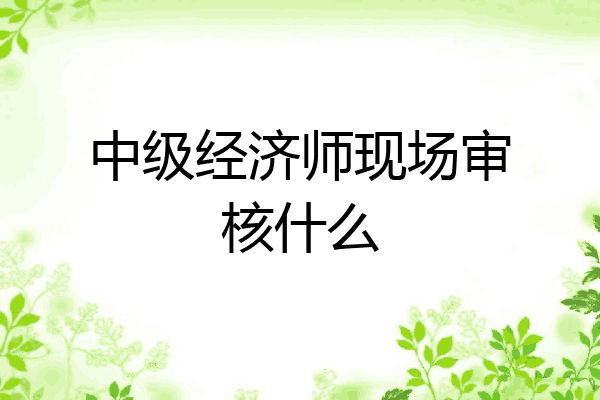 中级经济师现场审核什么