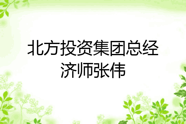 北方投资集团总经济师张伟