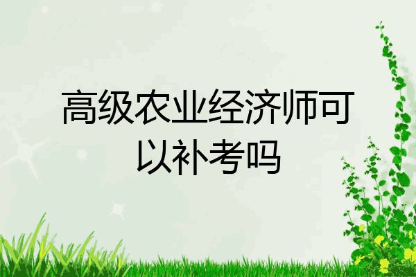 高级农业经济师可以补考吗