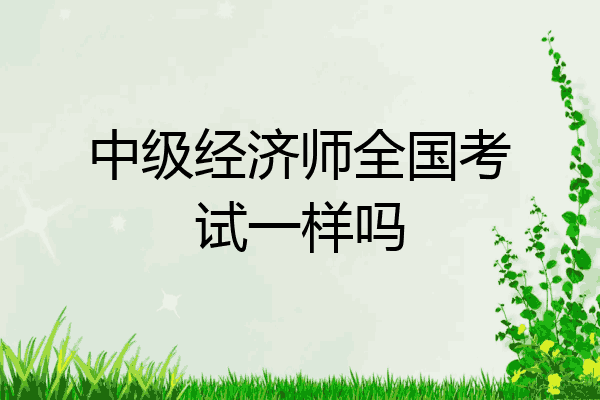 中级经济师全国考试一样吗