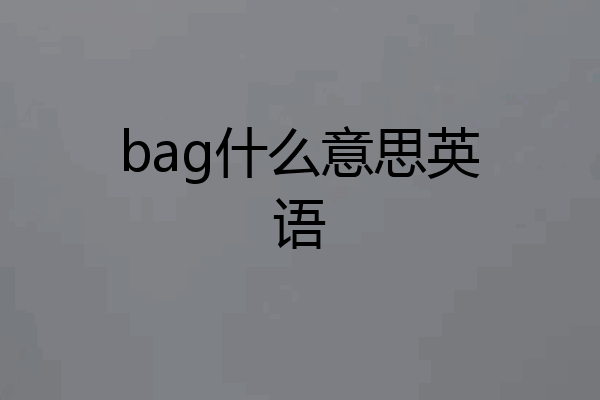 bag什么意思英语