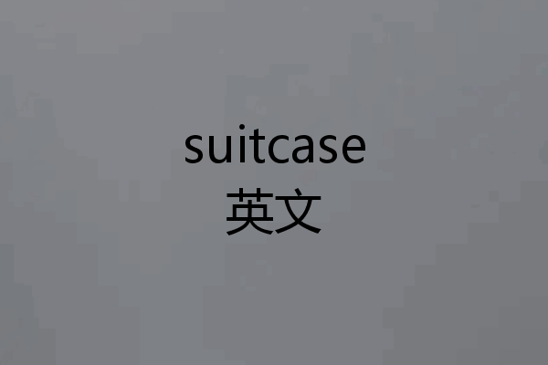suitcase英文