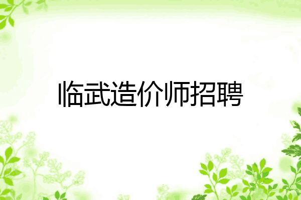 临武造价师招聘