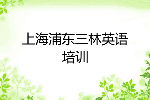上海浦东三林英语培训