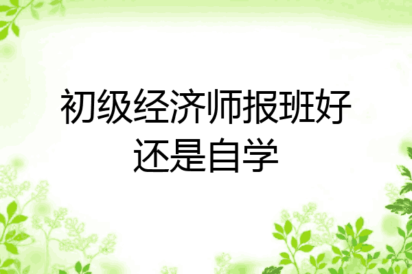 初级经济师报班好还是自学