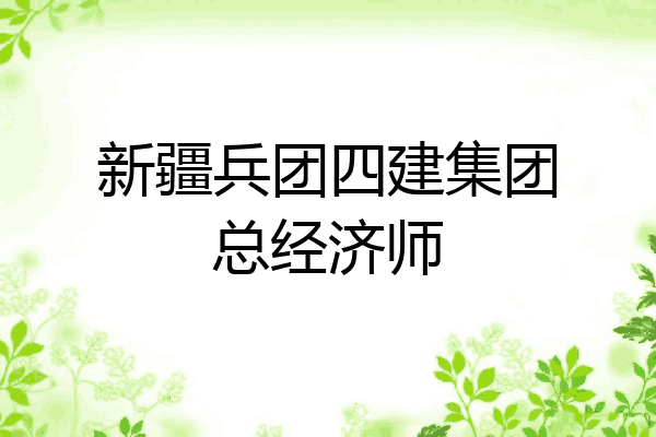 新疆兵团四建集团总经济师