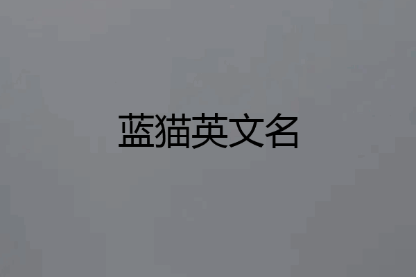 蓝猫英文名