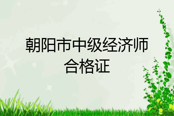 朝阳市中级经济师合格证