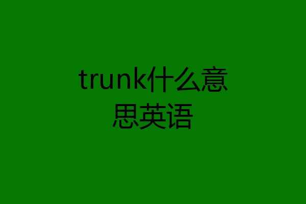 trunk什么意思英语