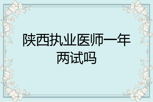 陕西执业医师一年两试吗