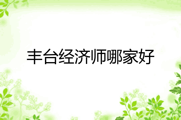 丰台经济师哪家好