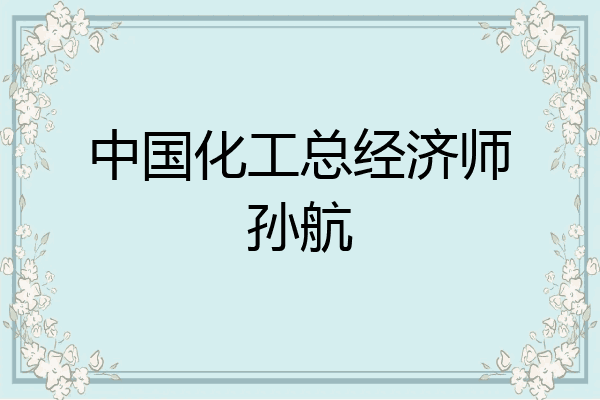 中国化工总经济师孙航