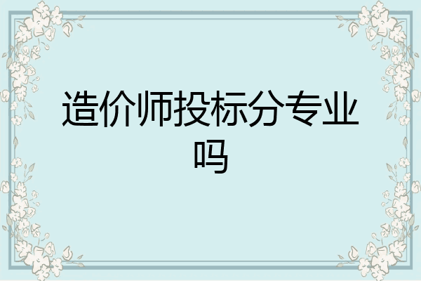 造价师投标分专业吗
