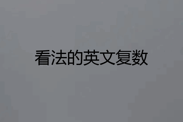 看法的英文复数