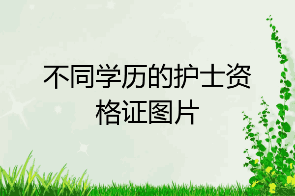 不同学历的护士资格证图片