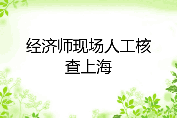 经济师现场人工核查上海