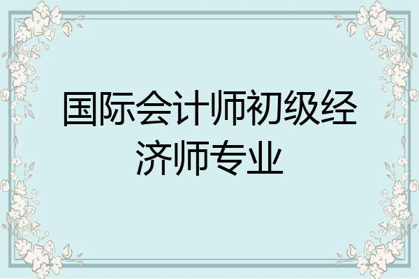 国际会计师初级经济师专业