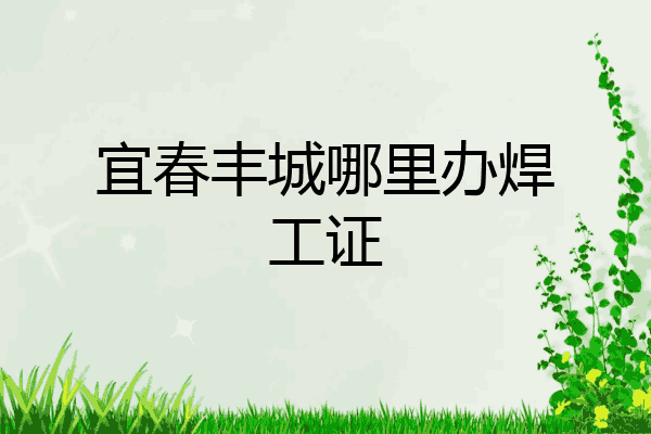 宜春丰城哪里办焊工证