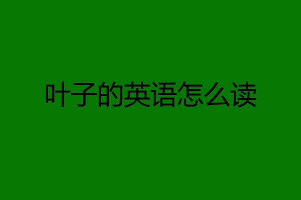 叶子的英语怎么读