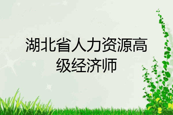 湖北省人力资源高级经济师