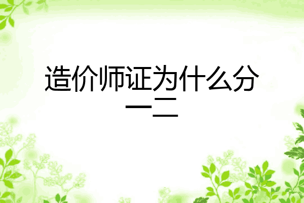 造价师证为什么分一二