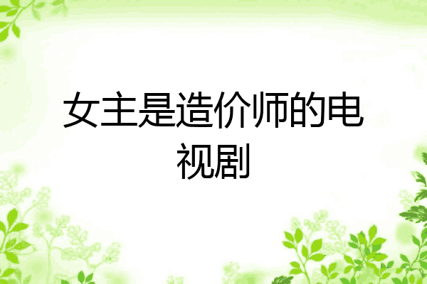 女主是造价师的电视剧