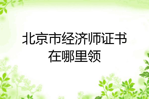 北京市经济师证书在哪里领