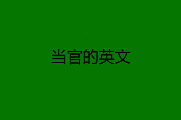当官的英文