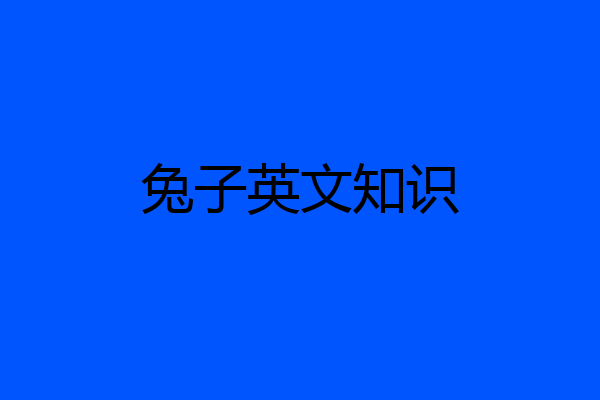 兔子英文知识