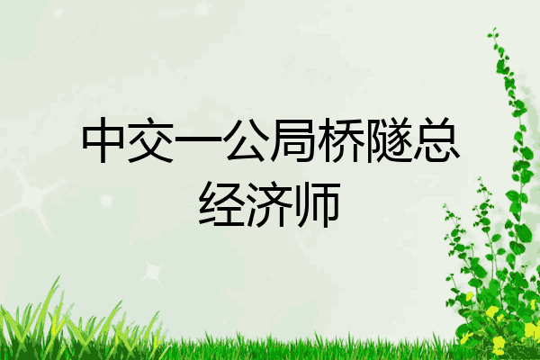 中交一公局桥隧总经济师