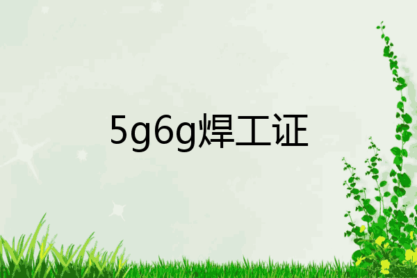5g6g焊工证