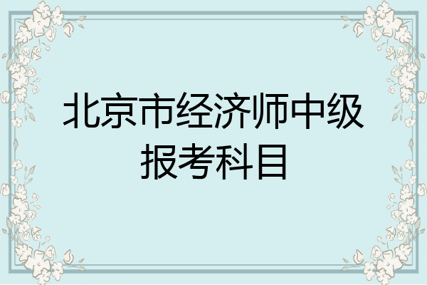 北京市经济师中级报考科目