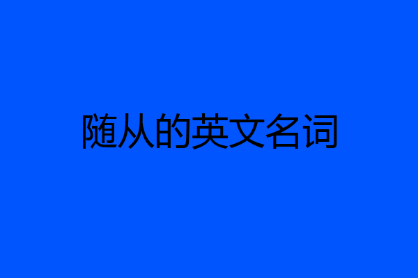 随从的英文名词