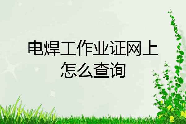 电焊工作业证网上怎么查询