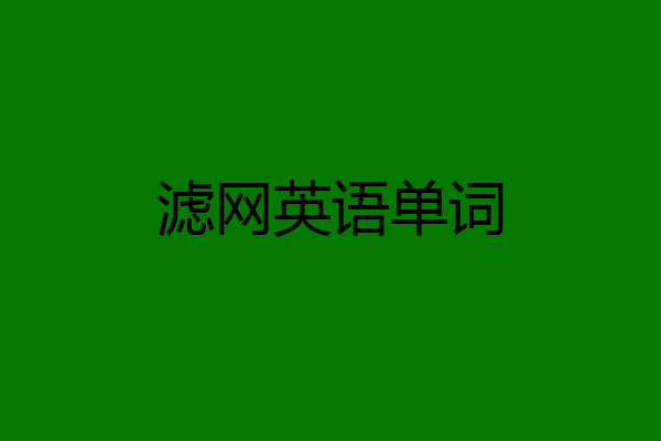 滤网英语单词