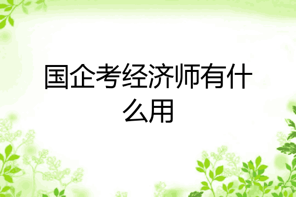 国企考经济师有什么用