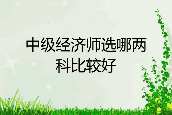 中级经济师选哪两科比较好