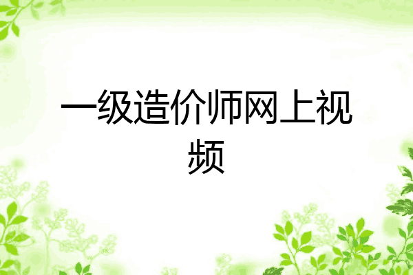 一级造价师网上视频