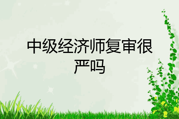 中级经济师复审很严吗