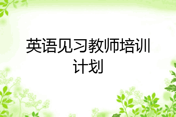 英语见习教师培训计划
