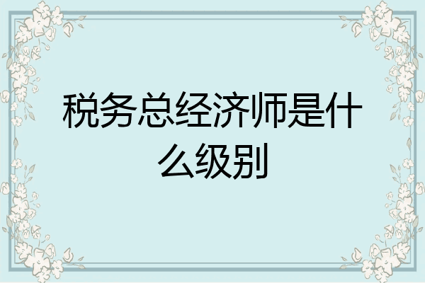 税务总经济师是什么级别