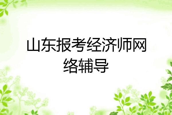 山东报考经济师网络辅导