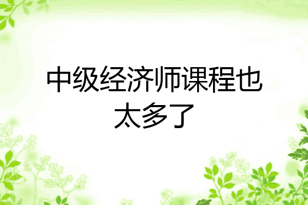 中级经济师课程也太多了