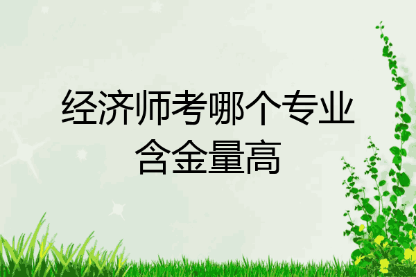 经济师考哪个专业含金量高
