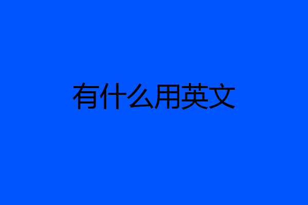 有什么用英文