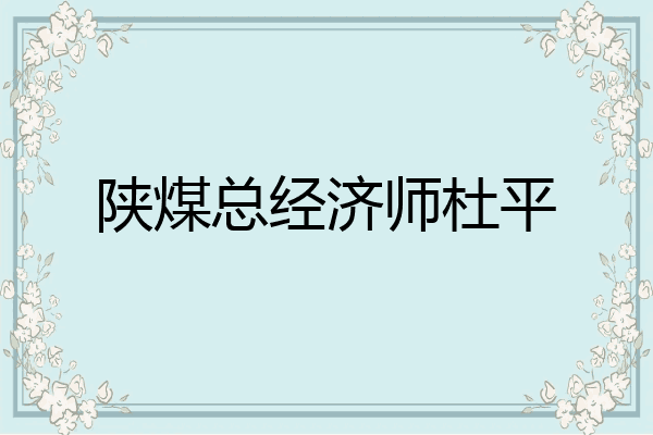 陕煤总经济师杜平