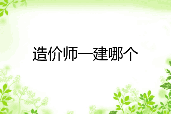 造价师一建哪个