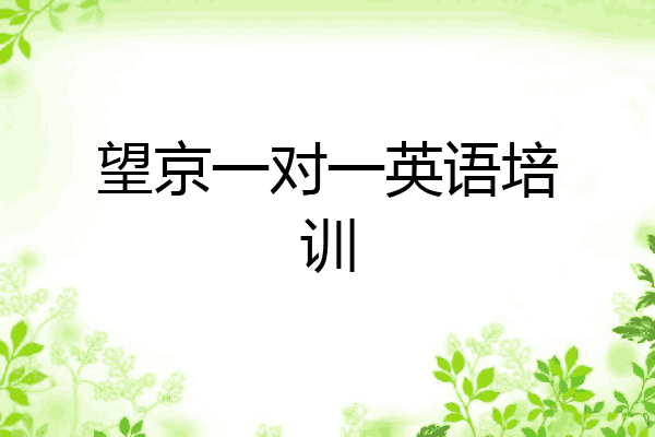望京一对一英语培训