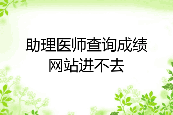 助理医师查询成绩网站进不去