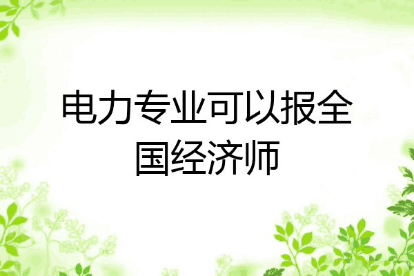 电力专业可以报全国经济师